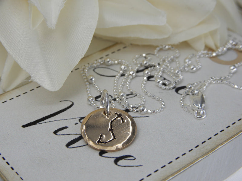 Scorpio Zodiac Sign Necklace