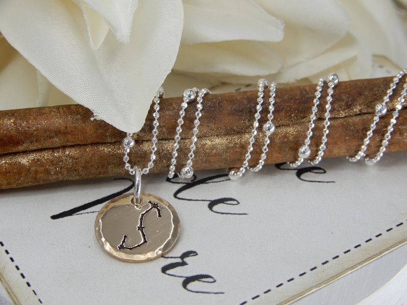 Scorpio Zodiac Sign Necklace